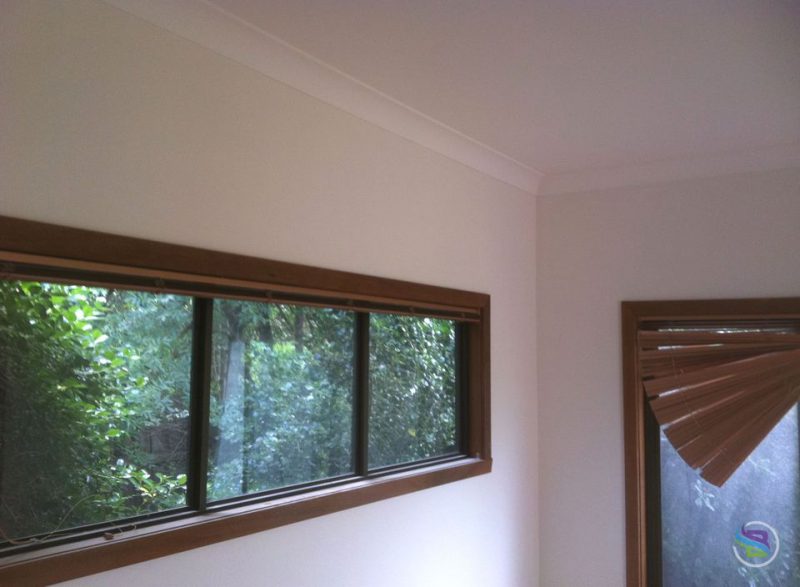 brushflow_painting_bayside_vic_0200