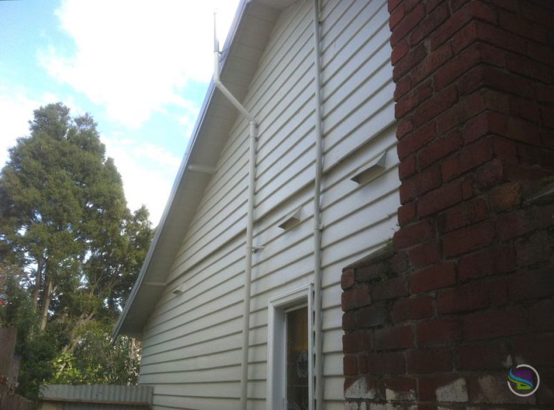 brushflow_painting_bayside_vic_1676