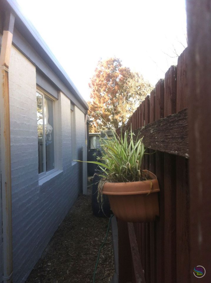 brushflow_painting_bayside_vic_2444