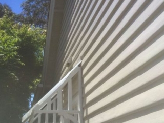 brushflow_painting_bayside_vic_0138