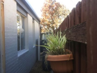 brushflow_painting_bayside_vic_2444